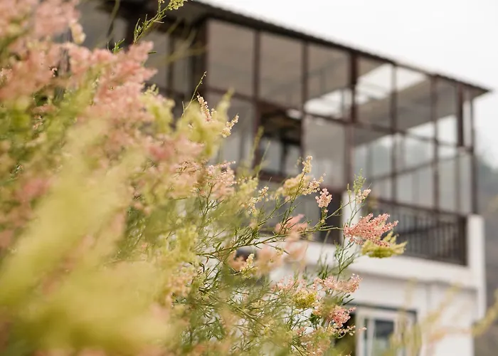 Aavya Creative Wellness Retreats